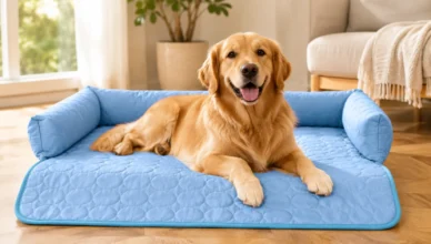 PawLax Cooling Mat Review